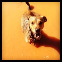 What Affects the Price of Replacing an Asbestos Roof the Most? 15 Pilbara Geddes